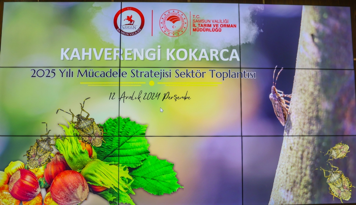 KAHVERENGİ KOKARCA 2025 YILI MÜCADELE STRATEJİSİ SEKTÖR TOPLANTISI GERÇEKLEŞTİRİLDİ...
